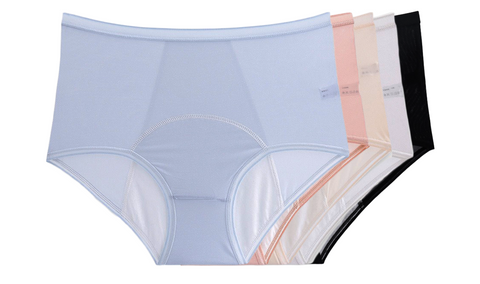 Everdries NEW: Leakproof High Waisted (Bundles)