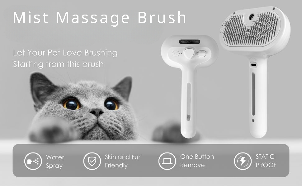 Mist Massage Brush